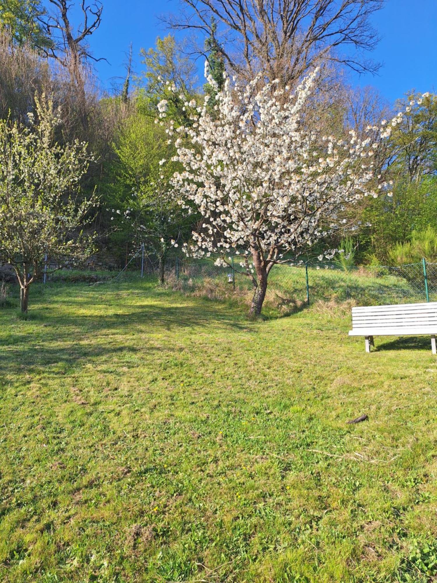 Kleines Domizil Am Suedhang Ortenberg  Dış mekan fotoğraf